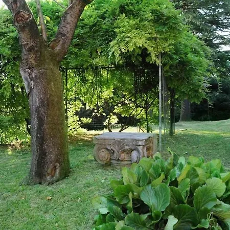 Miotti De Brajda فيلة *
