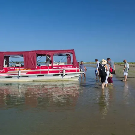 فيلة Miotti De Brajda *
